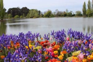 floriade horticultural