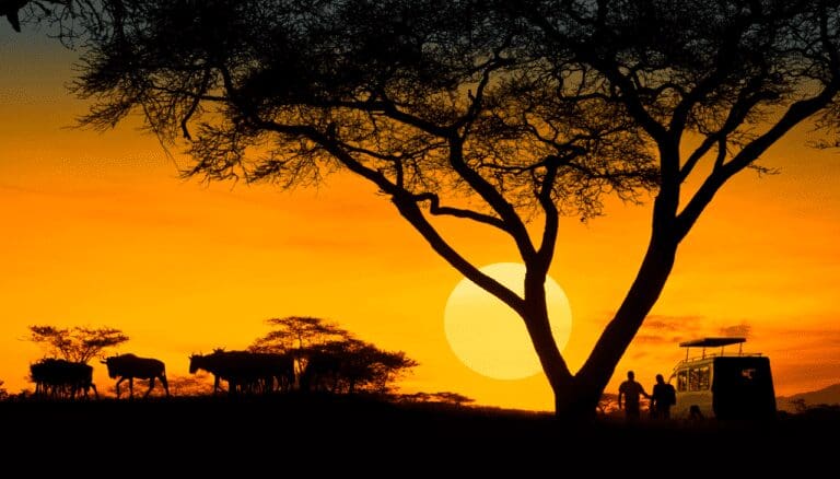 This is How a Sustainable Safari Leaves a Positive Impact