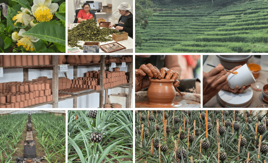 Sao Miguel culture